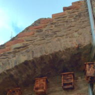 Nistkästen für Fledermäuse am Stadtturm